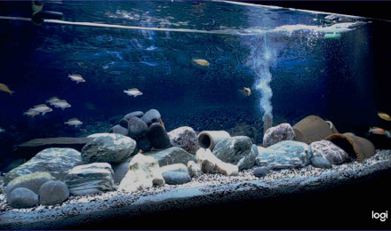 aquarium Mon 240 litres