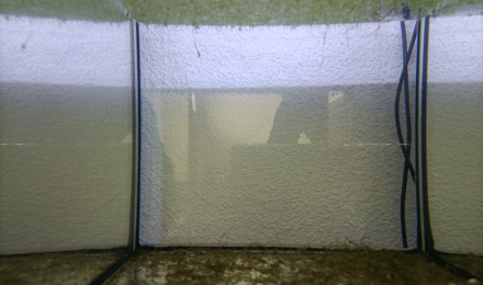 aquarium 222 Disponible