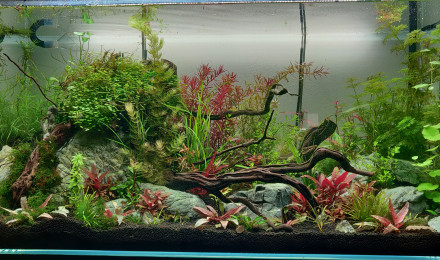 aquarium Aquael Ultra Clear