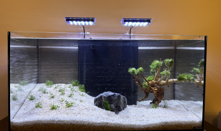 aquarium Aquarium communautaire 60 litres