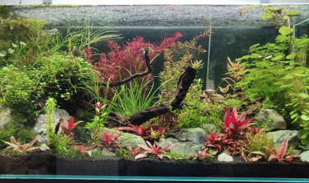aquarium Aquael Ultra Clear