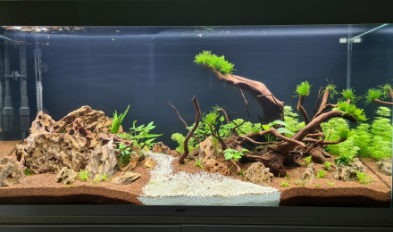 aquarium Premier bac