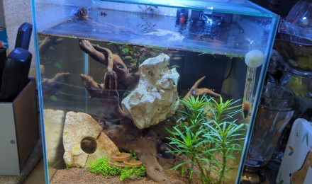 aquarium Jaylay XXL