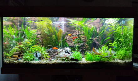 aquarium Rio 180