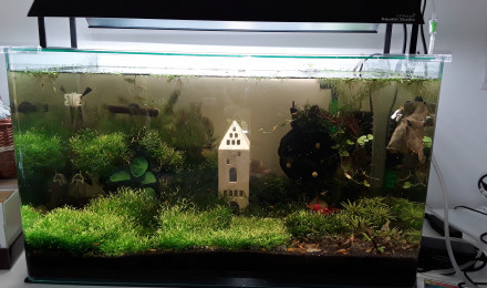 aquarium aquarium sensoriel 80 L