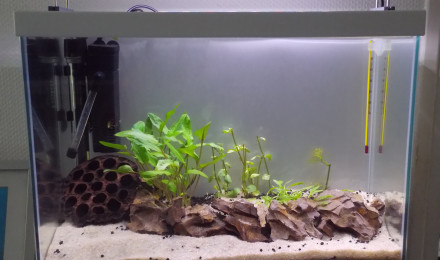 aquarium Mini Aquarium