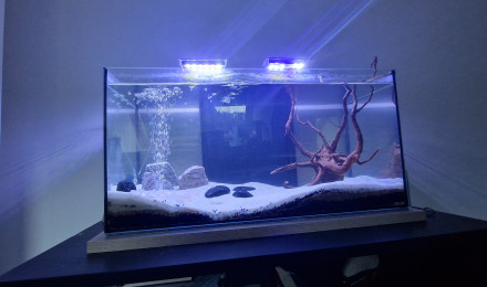 aquarium Aqua 60