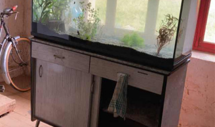 aquarium Eté 2023