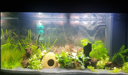 aquarium Juwel 125