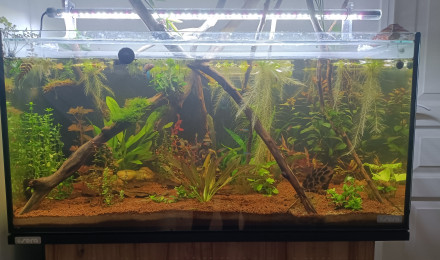 aquarium Sera Aquatank 128L