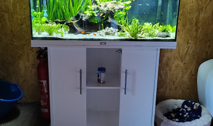 aquarium 180l