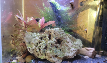 aquarium Aquarium 14l