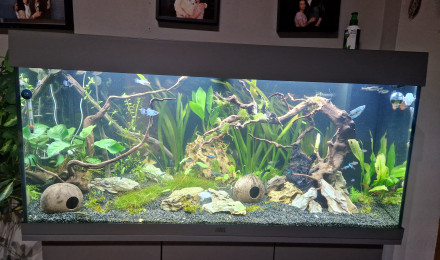 aquarium 180l