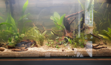 aquarium 200 litres