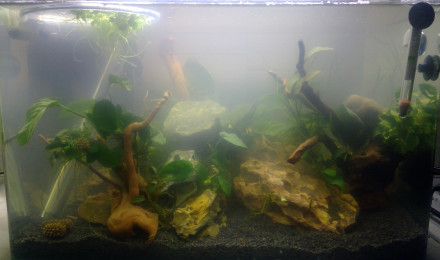 aquarium Aquarium 38 L