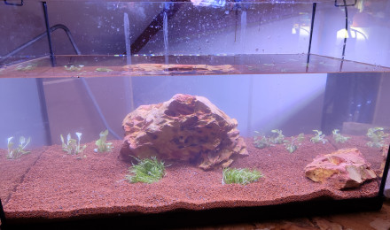 aquarium Premier aquarium