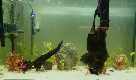 aquarium Fahaka Land