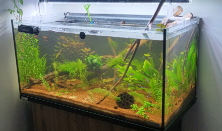 aquarium Sera Aquatank 128L