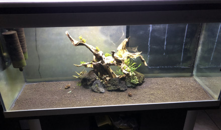 aquarium Bac 3