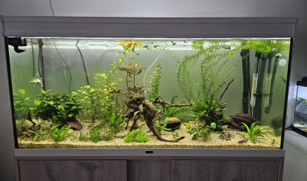 aquarium New-bac