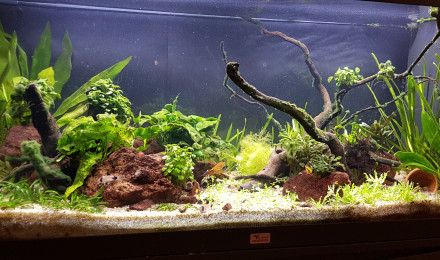 aquarium Bureau 200 litres