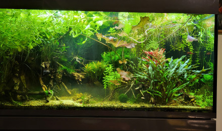 aquarium Aquarium 400Litre