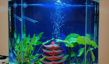 aquarium Petit aquarium - 30L
