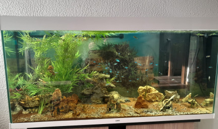 aquarium Aquarium de 250