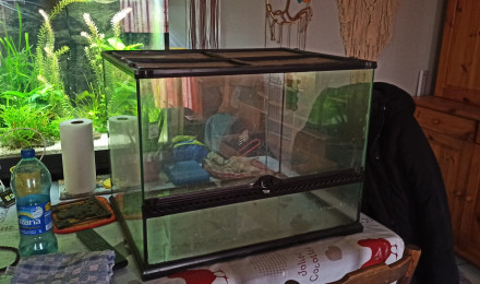 aquarium Lepido Terra 120