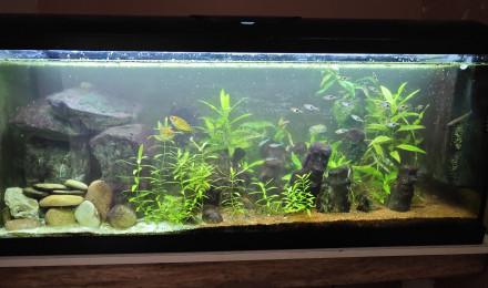 aquarium 120L