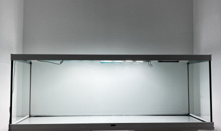 aquarium Nouveau bac