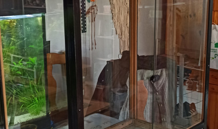 aquarium Lepido Terra 280