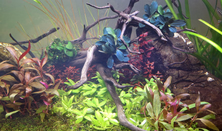 aquarium Aquatlantis Explorer Amsterdam