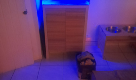 aquarium Recifaldu56.56