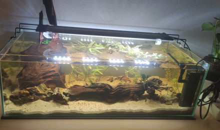 aquarium 30 litres en longueur