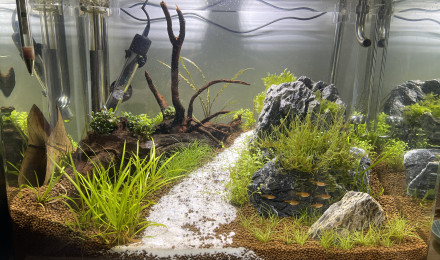 aquarium NanoCube 55
