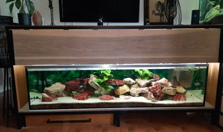 aquarium 600L malawi