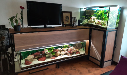 aquarium Ensemble du 600L et 360 L malawi