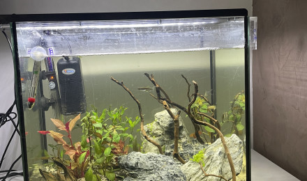 aquarium 45l