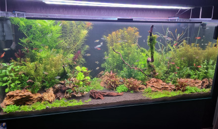 aquarium DELTA