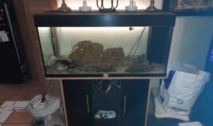 aquarium Cyclidés Rectangulaire