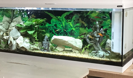 aquarium Grand