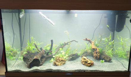 aquarium 125 litres