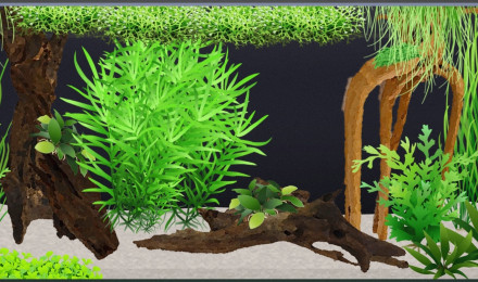 aquarium 140l