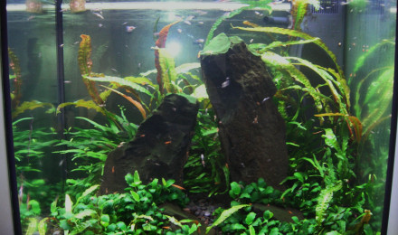 aquarium Lido 200 litres