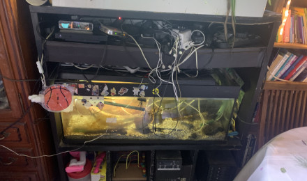 aquarium 120l