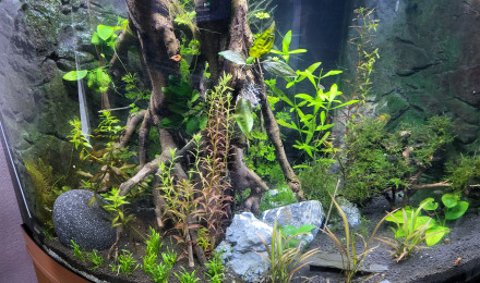 aquarium Juwel  trigon 190