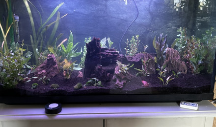 aquarium 200 Litres