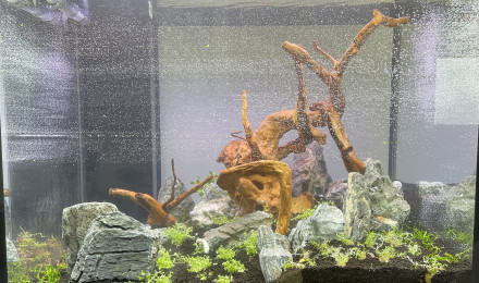 aquarium Inc 230L
