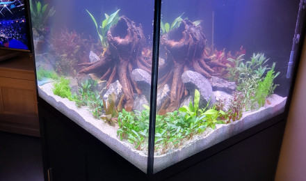 aquarium 600l